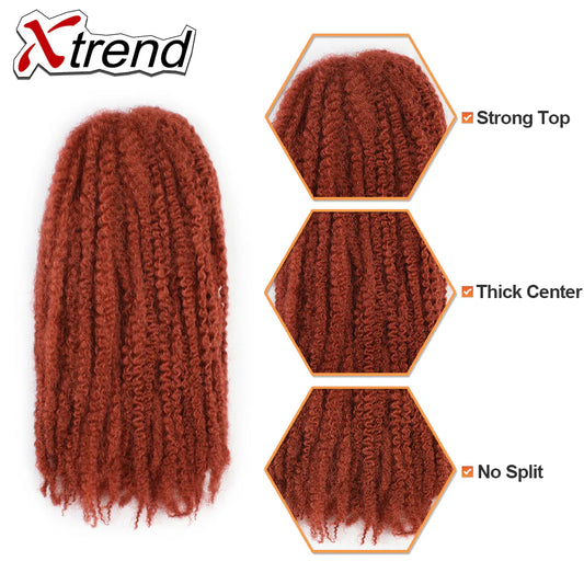 Rainbow Kinky Braid Color 27