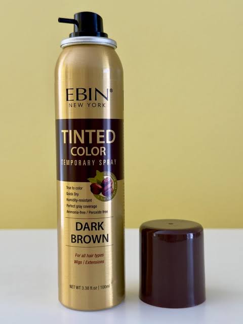 Ebin Teinture Temporaire en Spray 100ml
