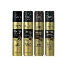 Ebin Tinted Color Temporary Hair Color Spray 100ml